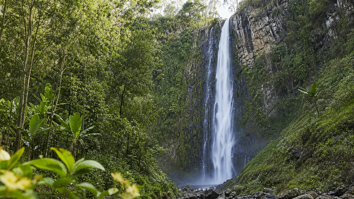 Cascade de Materuni dans une vallée verdoyante près de Moshi, sur les pentes du Kilimandjaro